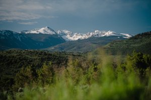 VVW-sustainability_dd